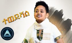 Dawit Alemayehu - Tewedeshal | ተወደሻል - New Ethiopian Music 2018