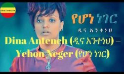 Dina Anteneh(ዲና አንተነህ)-Yehon Neger(የሆነ ነገር) with Lyrics ግጥም