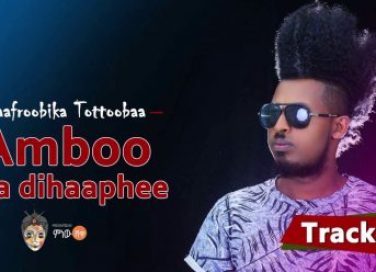 Ethiopian Music : Naafroobika Tottooba (Amboo irra dihaaphee) – New Oromo Music 2018(Official Video)