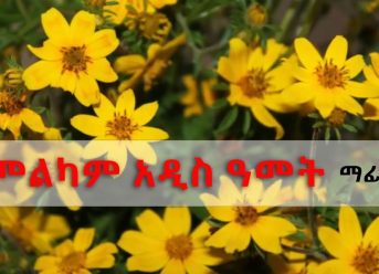 Ethiopian Music: Mafi Kassa ማፊ ካሳ (መልካም አዲስ ዓመት)  - New Ethiopian Music 2018(Official Video)