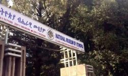 ቆየት ያለ ከ 3 አመት በፊት የቀረፅኩት ነው የኢትዮጵያ ብሔራዊ ሙዚየም ጉብኝት