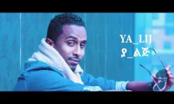 Ethiopian music : Ya Lij - Weyehulesh(ወየሁልሽ) - Ethiopian New Music(Official Video)