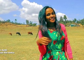 Ethiopian Music : Alamuu Ajabii (Dammaan Wal makaa) New Ethiopian Oromo Music 2019(Official Video)