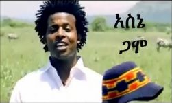 New Hot Ethiopian Music 2014 Asne Abate - Gamo