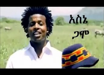 New Hot Ethiopian Music 2014 Asne Abate – Gamo