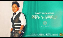 Dawit Alemayehu - Sene Selasa | ሰኔ ሰላሳ - New Ethiopian Music 2016 (Official Audio)
