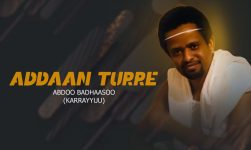 sirba afaan oromoo haaraa 2019 | Addis Daily