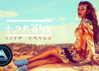 Ariam Zemichael – Tegayishkani (Official Video) | Eritrean Music