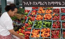 ጉሊት በአሜሪካ ከማማዬ ጋር - America's Farmers Market