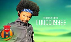 Firomsa Tahir - Luucciiyyee - New Ethiopian Music 2019 (Official video)