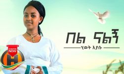 Hiwot Eyasu - Bel Nalign | በል ናልኝ - New Ethiopian Music 2019 (Official Video)
