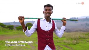 Ethiopian Music : Fayyiissaa Lammaa (Siduukaa Jirraa)  - New Ethiopian Music 2019(Official Video)