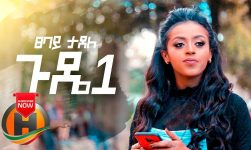 Tsebay Tadele - Gude | ጉዴ - New Ethiopian Music 2019 (Official Video)