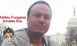 Ethiopian Music : Addisu Furgassa (amalee koo)- New Ethiopian Music 2019(Official Video)