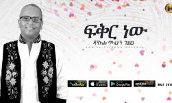 Daniel Tilahun Gessesse - Fikir New | ፍቅር ነው - New Ethiopian Music 2019 (Official Audio)