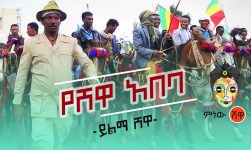 Yilma Shewa (Yeshewa Abeba) ይልማ ሸዋ (የሽዋ አበባ) - New Ethiopian Music 2020(Official Video)