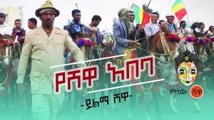 Yilma Shewa (Yeshewa Abeba) ይልማ ሸዋ (የሽዋ አበባ) - New Ethiopian Music 2020(Official Video)
