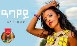 Salit Huber - Abayey | ዓባየይ - New Eritrean Music 2020 (Official Video)