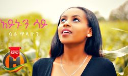 Sara Tilahun - Aynun Say | አይኑን ሳይ - New Ethiopian Music 2020 (Official Video)