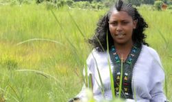 Ethiopian Music : Mekdes Esubalew መቅደስ እሱባለው (ሳሳሁ) - New Ethiopian Music 2020(Official Video)