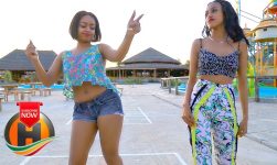 Alphabesha - Tewled Nika | ትውልድ ንቃ - New Ethiopian Music 2020 (Official Video)
