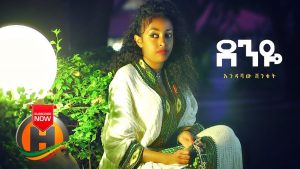 Endashaw Shenkut - Denye | ደንዬ - New Ethiopian Music 2020 (Official Video)