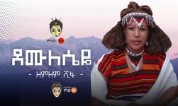 Zemzem Shifa (Demulsieyie) ዘምዘም ሺፋ (ደሙለሴዬ) - New Ethiopian Music 2020(Official Video)