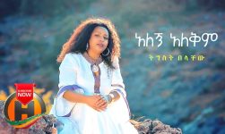 Tigist Belachew - Alegn Alekim | አለኝ አለቅም - New Ethiopian Music 2020 (Official Video)