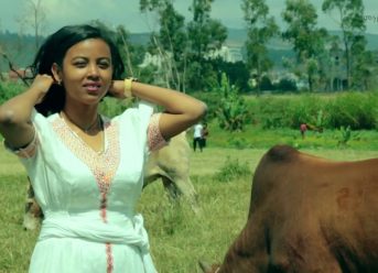 Ethiopian Music : Sami Getu (Sdidi) ሳሚ ጌቱ (ስዲዲ) - New Ethiopian Music 2020(Official Video)