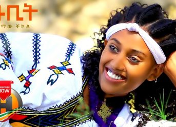 Alamaw Chekol – Wubit | ውቢት – New Ethiopian Music 2020 (Official Video)