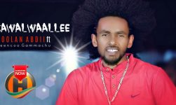 Soolan Abdii - Xawalwaallee - New Ethiopian Music 2020 (Official Video)