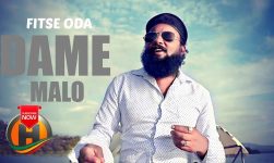 Fitse Oda - Dammee Maaloo - New Ethiopian Music 2020 (Official Video)