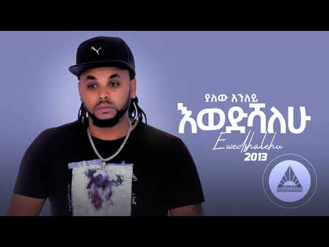 Yalew Anley (Tyger) – Ewedeshalhu | እወድሻለሁ – New Ethiopian Music 2021