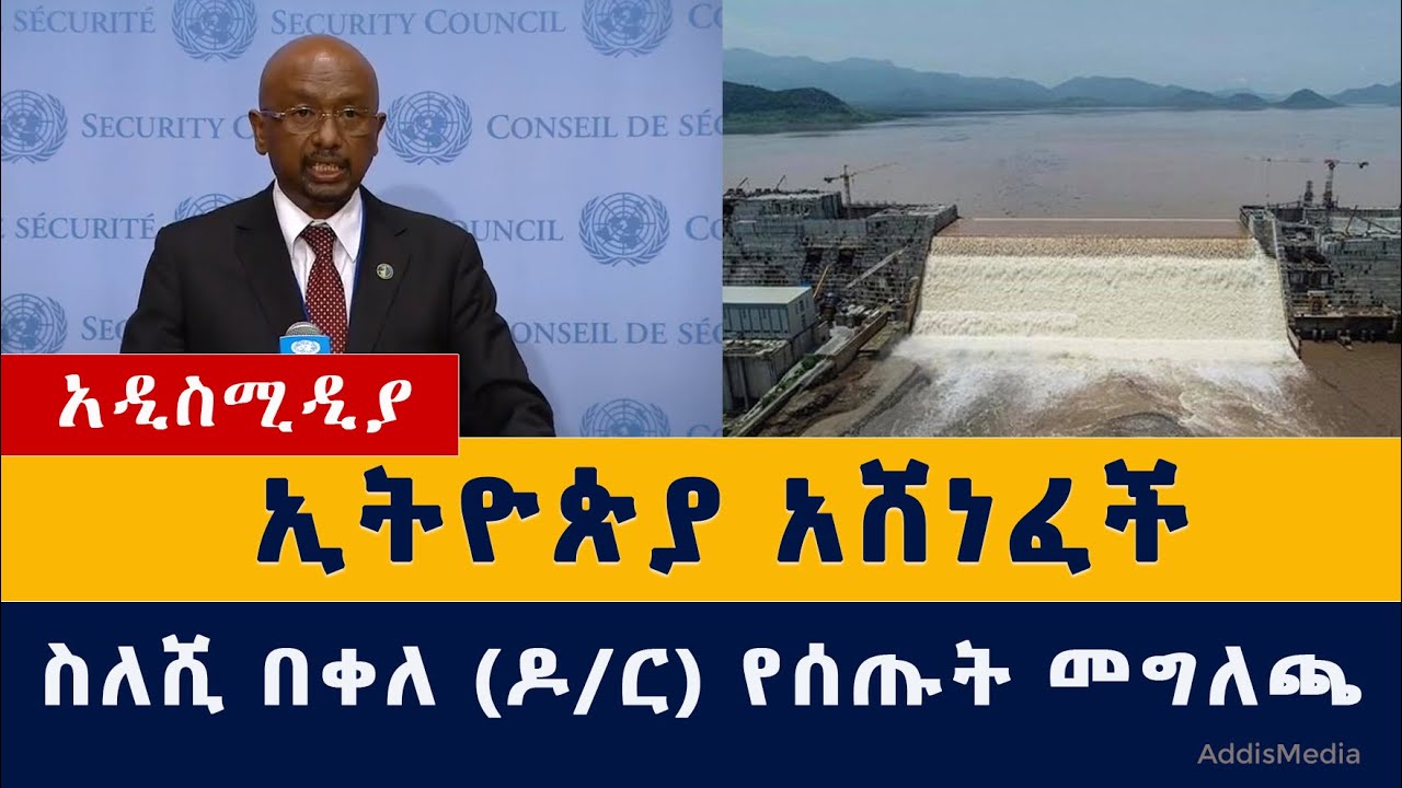 Ethiopia on the Grand Ethiopian Renaissance Dam (GERD) | Dr Eng Seleshi Bekele | UN | Egypt | Sudan