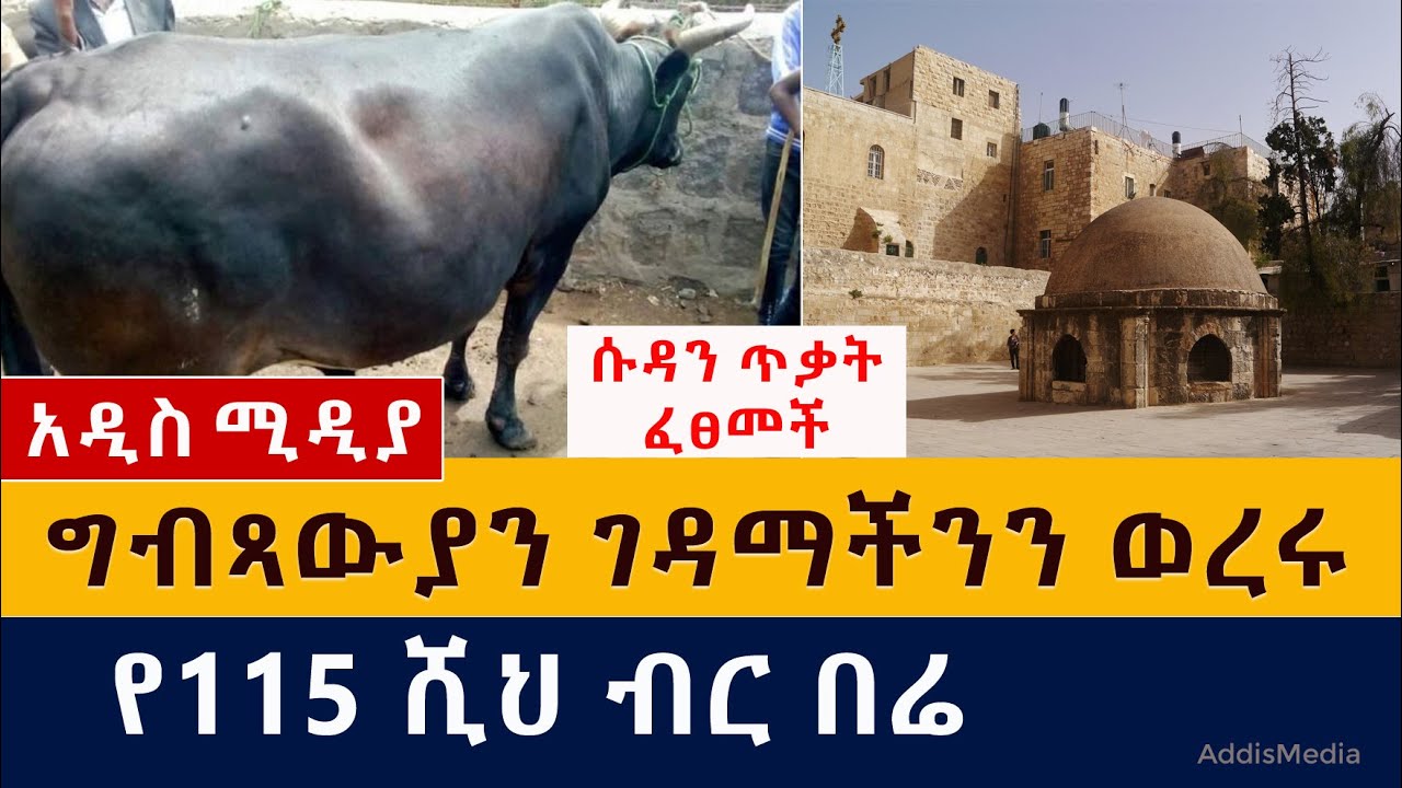 Ethiopia: ግብጻውያን ገዳማችንን ወረሩ | በሬ 115 ሺ ብር ተሸጠ | የሱዳን ጥቃት