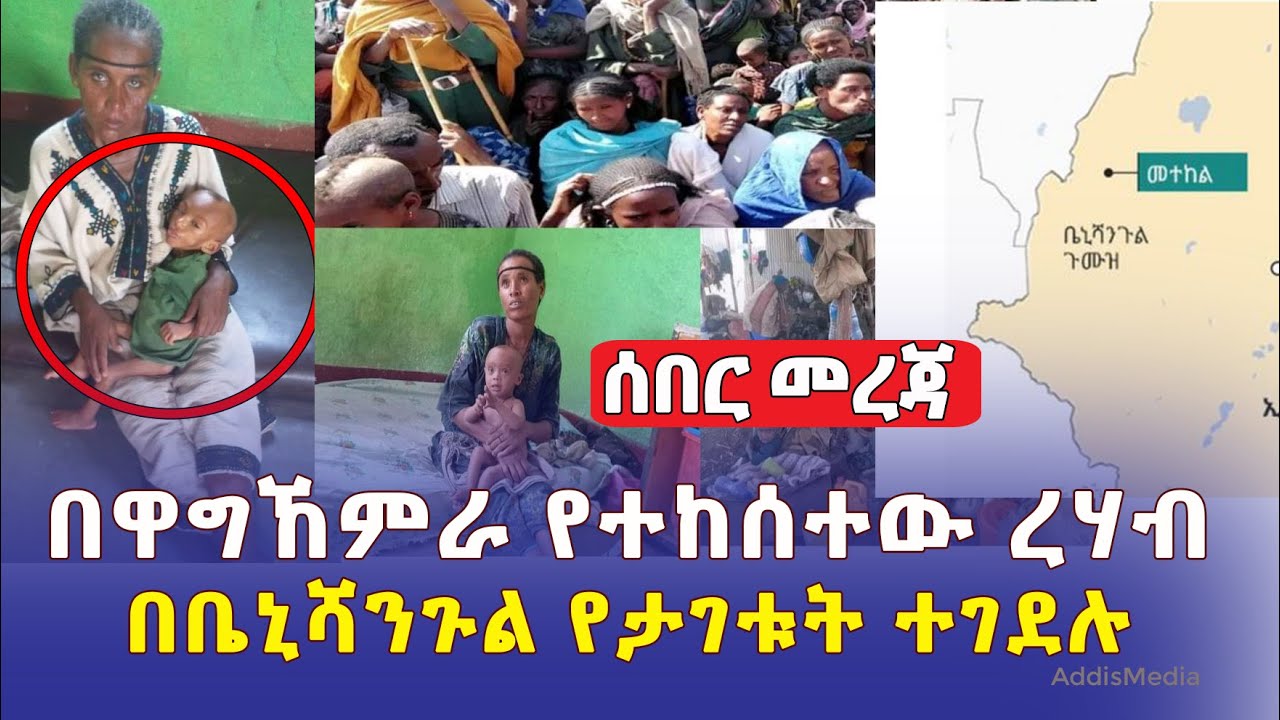 #በዋግኸምራ የተከሰተው ሰቆቃና ረሃብ | በቤኒሻንጉል የታገቱት ተገደሉ | Ethiopia News | #Wollo |Wag Hemra | Amhara | Tigray