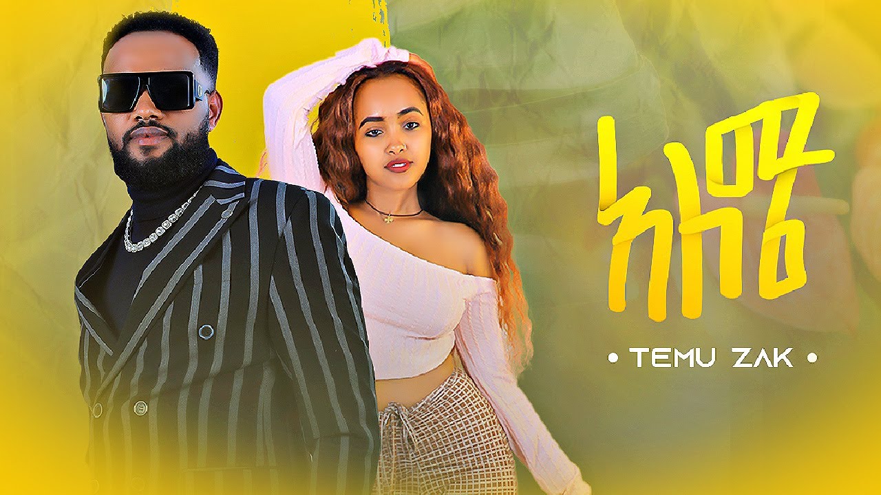 Temu Zak - Aleme | አለሜ - New Ethiopian Music 2022 (Official Video)