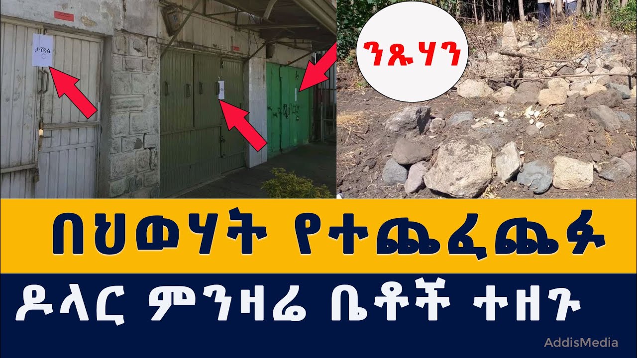 Addis Media: በህወሃት የተጨፈጨፉ የአማራ ተወላጆች | ዶላር ምንዛሬ ቤቶች ተዘጉ #Ethiopia #Amhara #TPLF #Fano #News