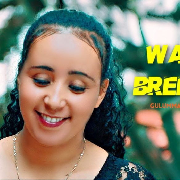 Gulummaa Misgaanu - Waliin Bareenna - New Ethiopian Oromo Music 2021 (Official Video)