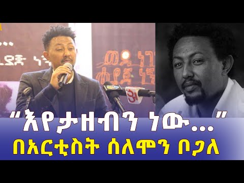 Ethiopia – አርቲስት ሰለሞን ቦጋለ | "እየታዘብን ነው" | Artist Solomon Bogale | Addis Media