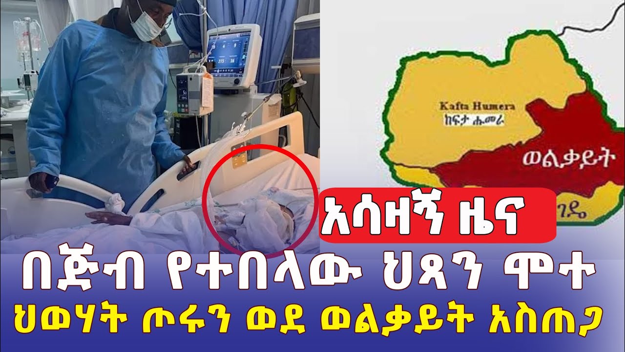 Addis Daily አዲስ ደይሊ – ብዙዎችን ያስለቀሰው በጅብ የተበላው ህጻን ሞተ | ህወሃት ጦሩን ወደ ወልቃይት አስጠጋ | Ethiopia