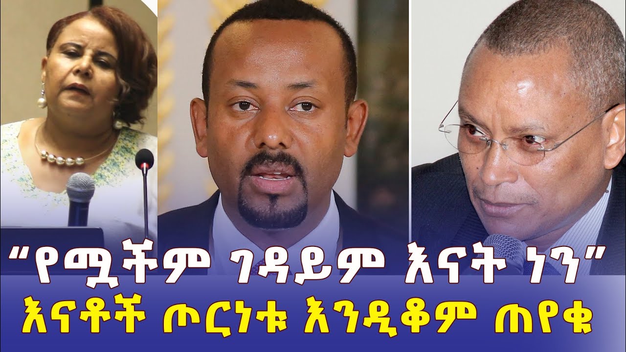 Addis Daily አዲስ ደይሊ – እናቶች ጦርነቱ በአስቸኳይ እንዲቆም ጠየቁ | "የገዳይም ሟችም እናቶች ነን" | Ethiopia | Habesha