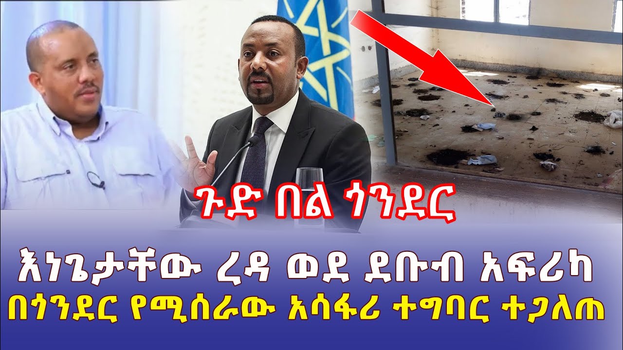 Addis Daily አዲስ ደይሊ – [ጉድ በል ጎንደር] በጎንደር የሚሰራው አሳፋሪ ተግባር ተጋለጠ | እነጌታቸው ረዳ ወደ ደቡብ አፍሪካ | Ethiopia