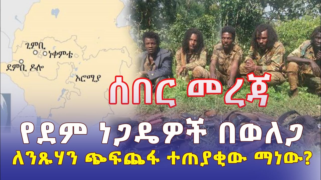 የደም ነጋዴዎች በወለጋ | ለንጹሃን ጭፍጨፋ ተጠያቂው ማነው? | Addis Daily አዲስ ደይሊ | Ethiopia