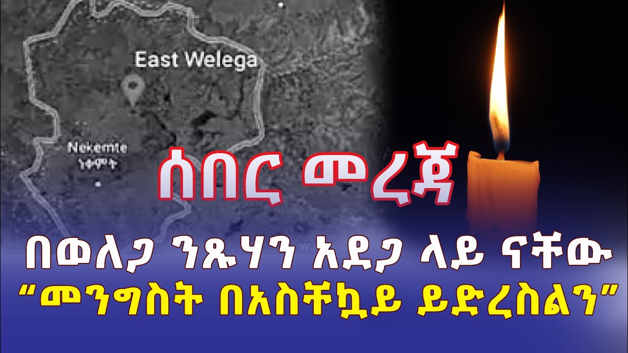 [ሰበር መረጃ] በወለጋ ንጹሃን የድረሱልን ጥሪ | "መንግስት በአስቸኳይ ይድረስልን" | Addis Daily አዲስ ደይሊ | Ethiopia News 2022