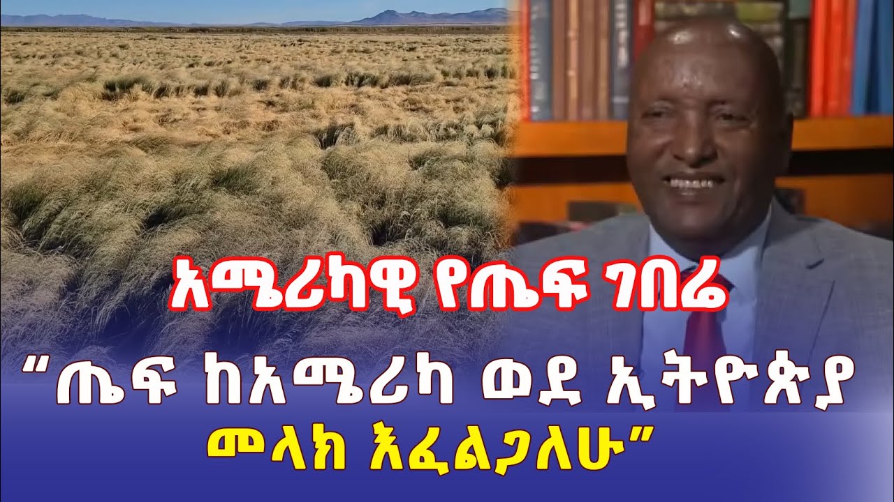 Ethiopia: አሜሪካዊ የጤፍ ገበሬ | "ጤፍ ከአሜሪካ ወደ ኢትዮጵያ መላክ እፈልጋለሁ" – Addis Daily