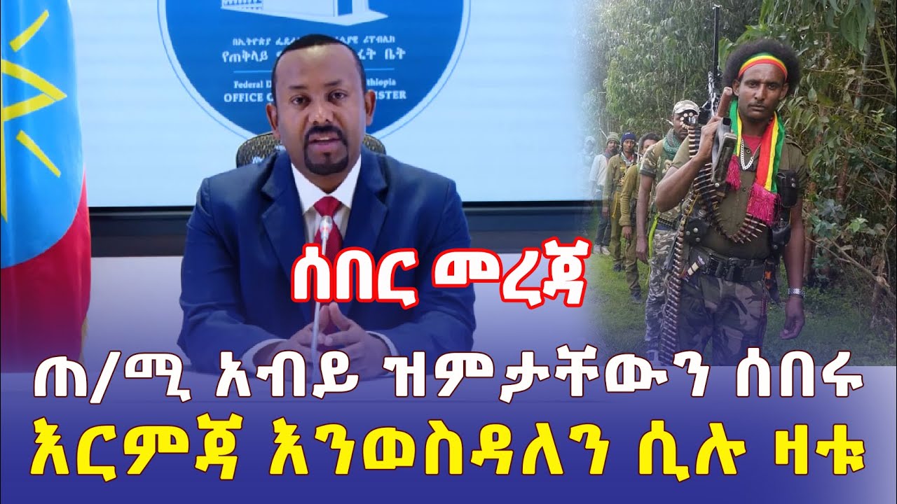 Ethiopia: [ሰበር መረጃ] ጠ/ሚ አብይ ስለ ልዩ ሀይል ዝምታቸውን ሰበሩ | እርምጃ እንወስዳለን ሲሉ ዛቱ – Addis Daily