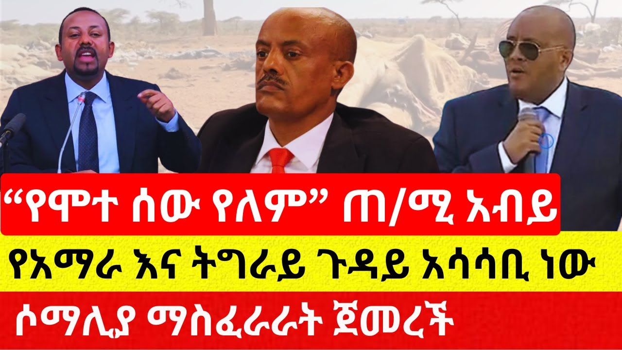 የአማራ እና ትግራይ ሰቆቃ | የጠ/ሚሩ ምላሽ | ሶማሊያ እየዛተች ነው – Addis Daily