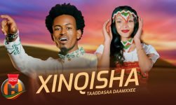 Taaddasaa Daamxee - XINQISHA -  New Ethiopian Oromo Music 2024 (Official Video)